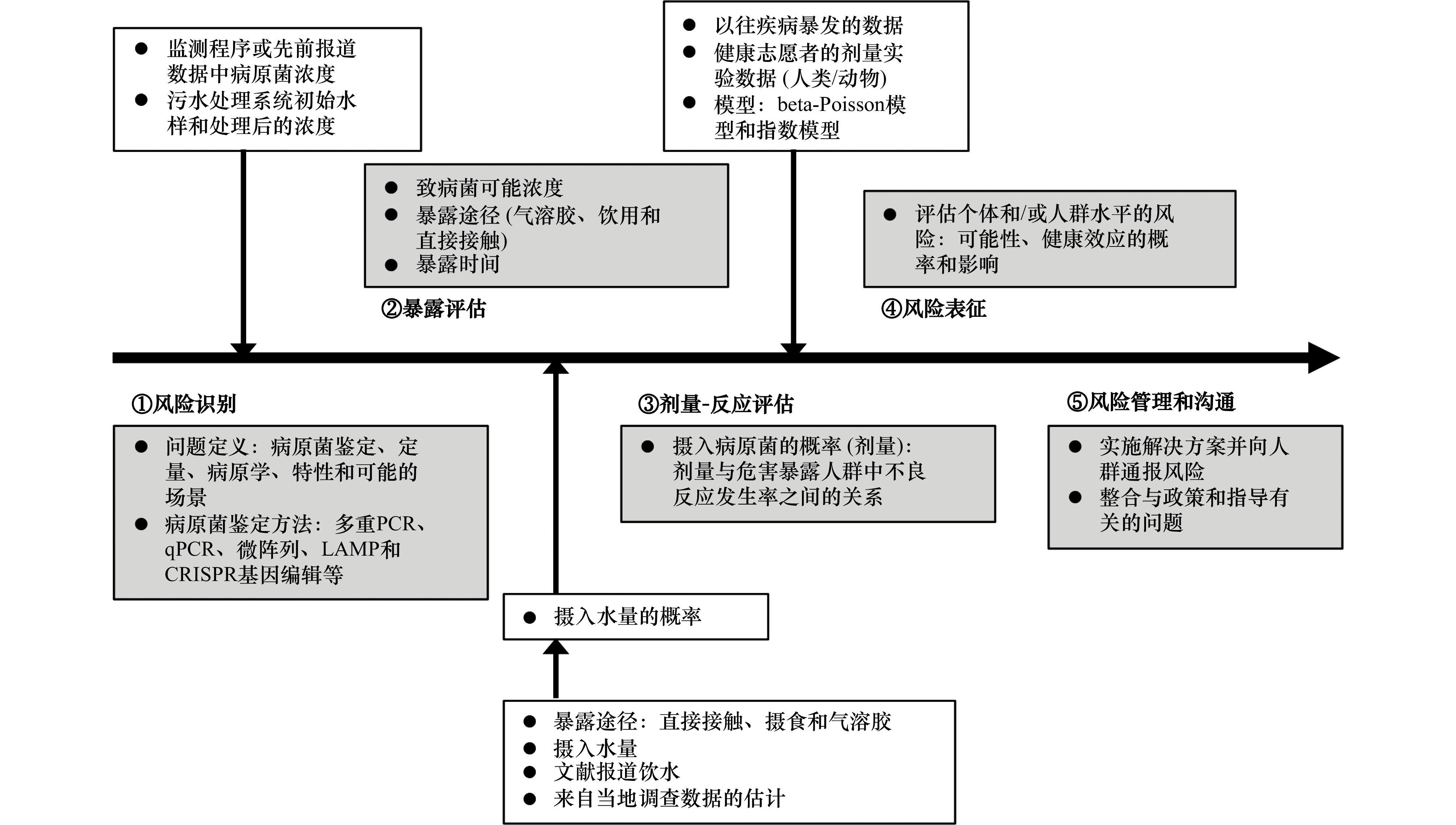 水环境中致病菌快速检测技术及应用研究进展