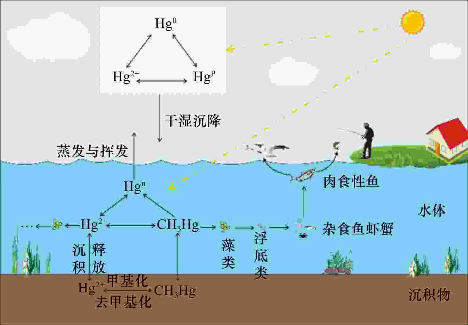 藻类中的汞含量和汞稳定同位素组成研究进展